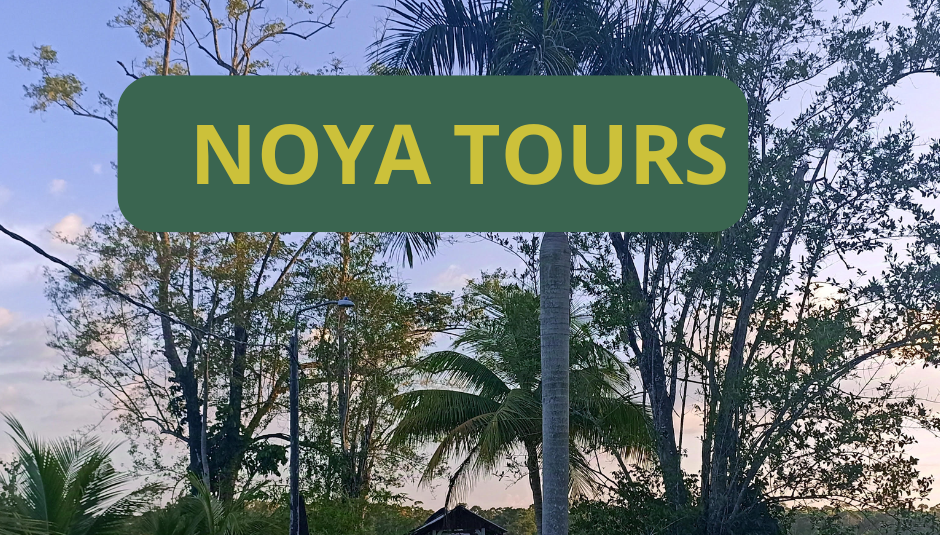 Noya Tours