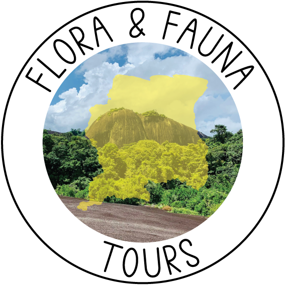 Flora & Fauna Tours
