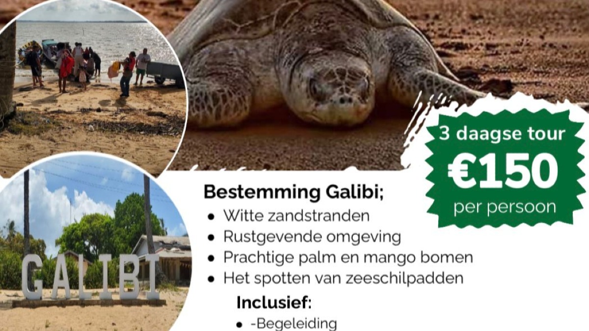 Galibi- Where Sea Turtles and Culture Meet
