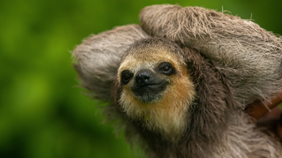 Stadstour & Luiaarden Spotten